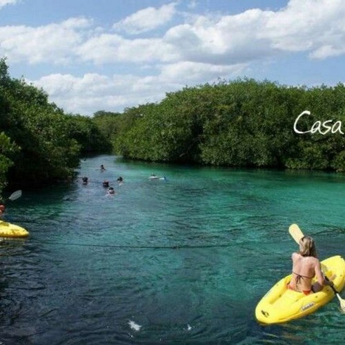 Casa Cenote / Cenote Manati