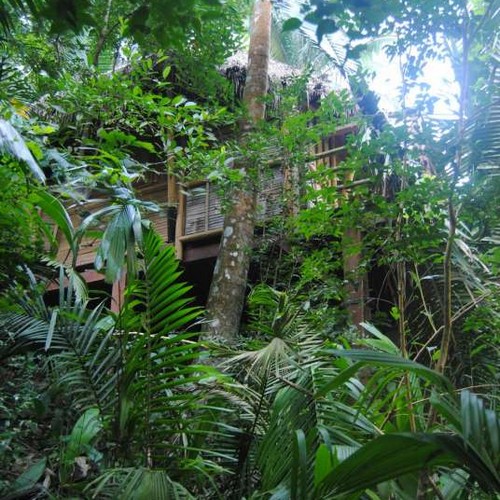 Aldea Bamboo