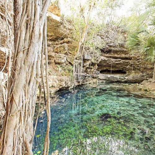 Cenote X