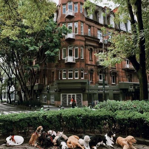 Roma Neighborhood