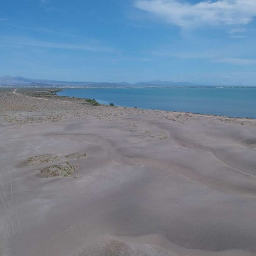 Dunas El Mogote