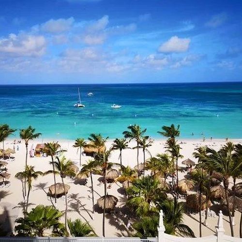 Palm Beach