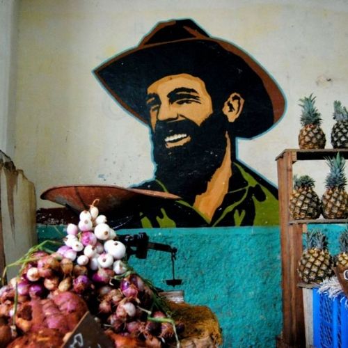 Havana Markets