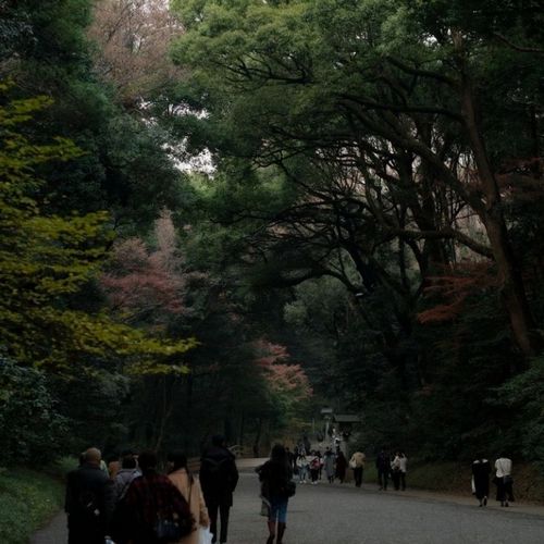 Yoyogi Park