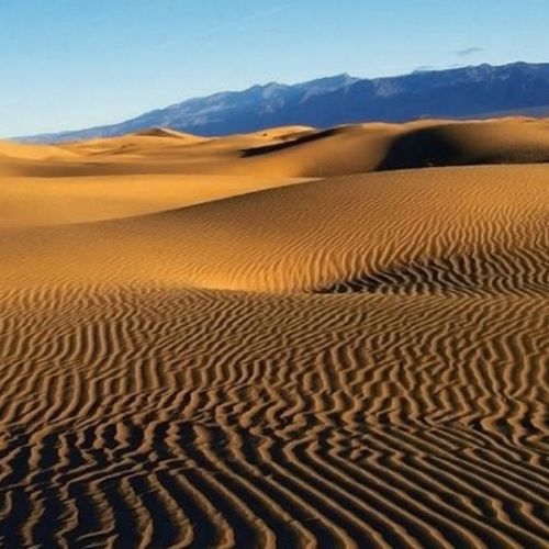 Samalayuca Dunes