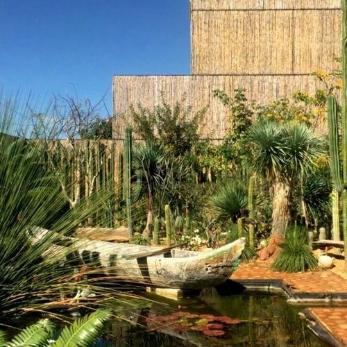 Vives Verde