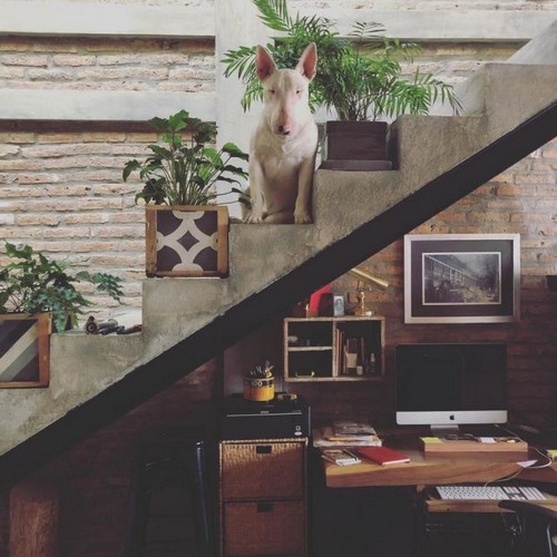 Casa Atala