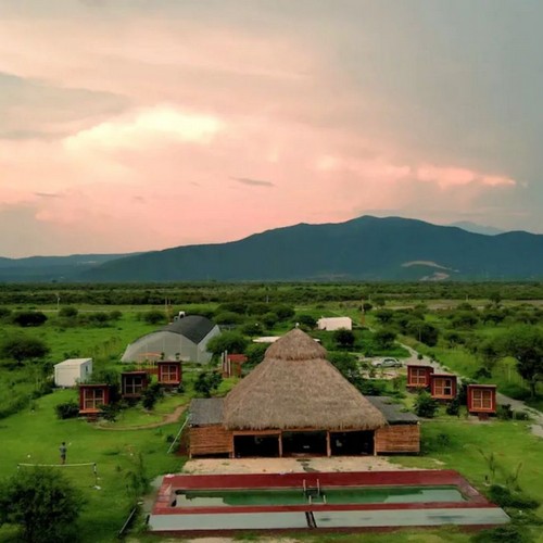 Safa Farms