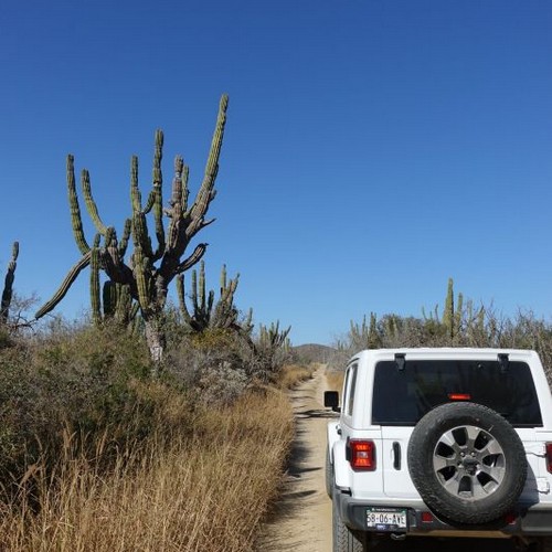 Road Trip Rumbo a Todos Santos