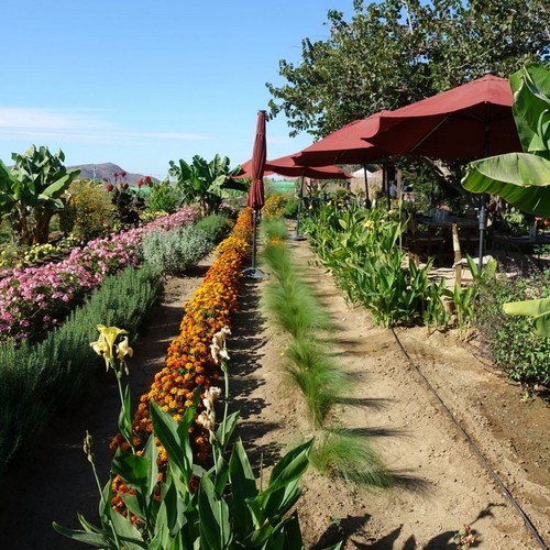 Agricole Cocina de Campo