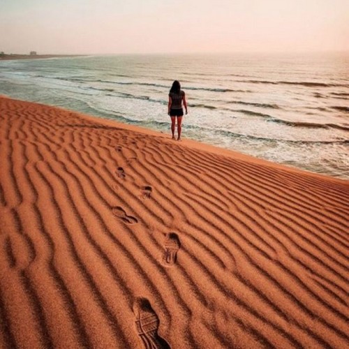 Dunas Chachalacas