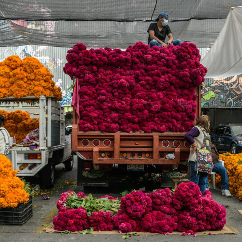 Mercado Jamaica